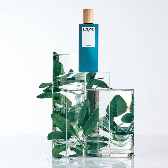 LOEWE      7 LOEWE       EDP  100ML